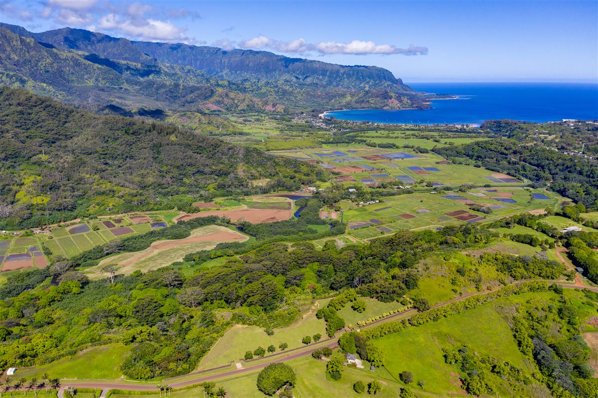 RARE OPPORTUNITY ON THE KAPAKA PALI Hawaii Luxury Homes Mansions