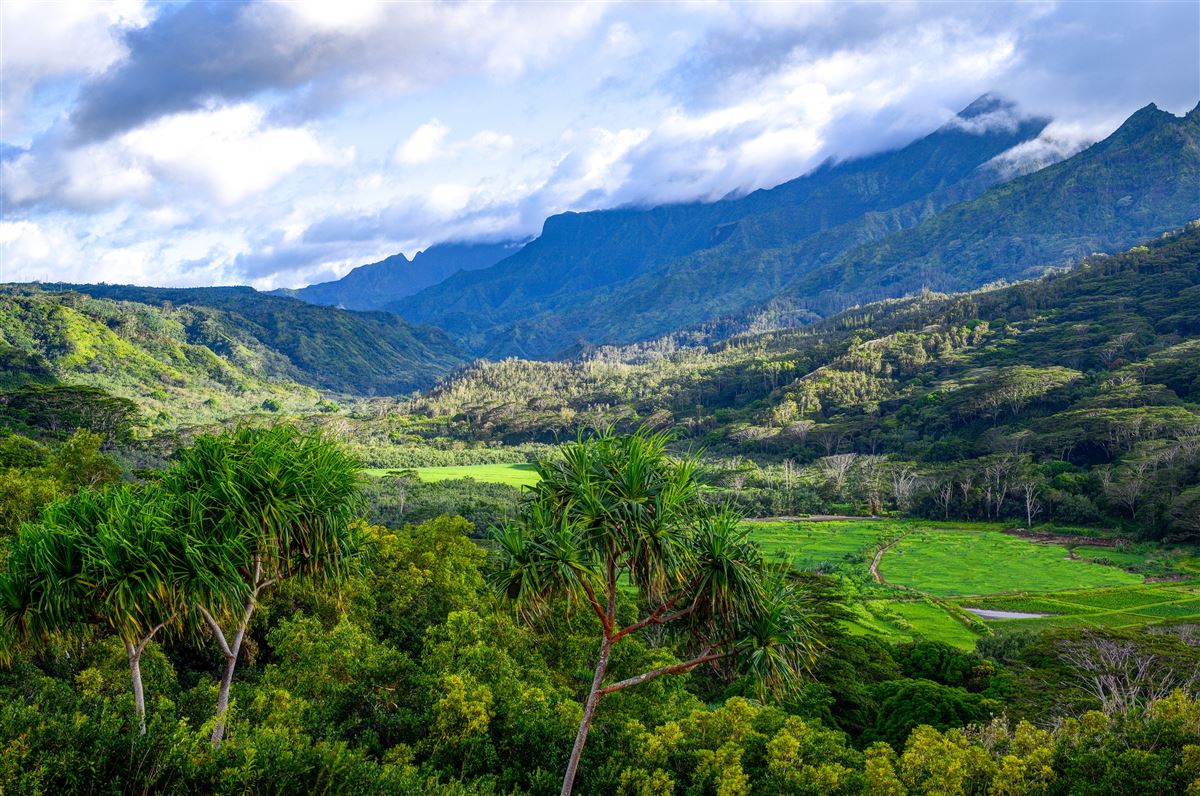 RARE OPPORTUNITY ON THE KAPAKA PALI Hawaii Luxury Homes Mansions