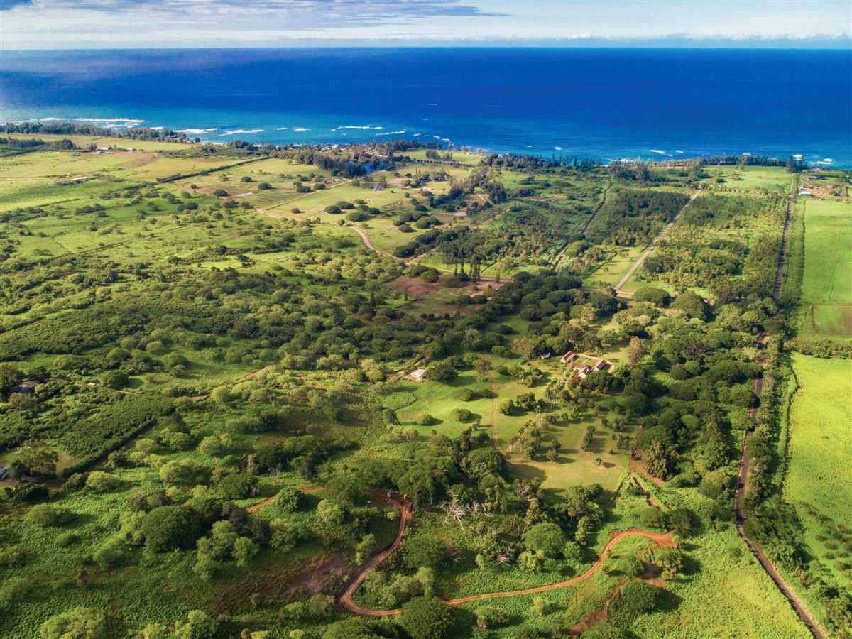 THE HISTORIC DILLINGHAM RANCH Hawaii Luxury Homes Mansions For Sale