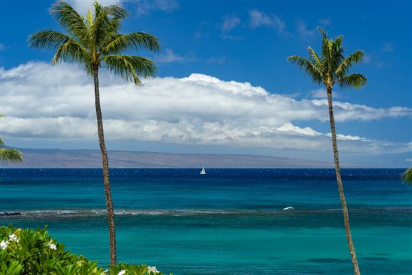 vacation rental montage hawaii