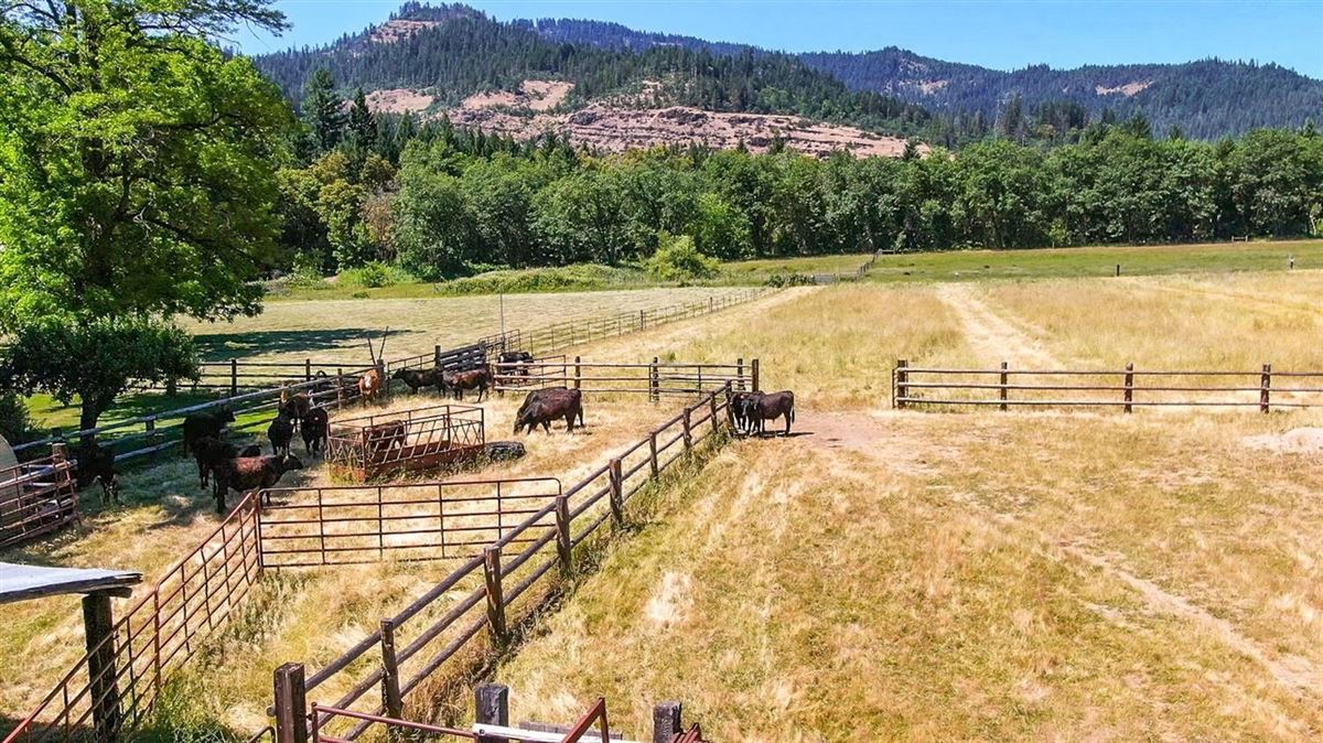 Mansions 宽敞而现代的牧场和度假风格的生活