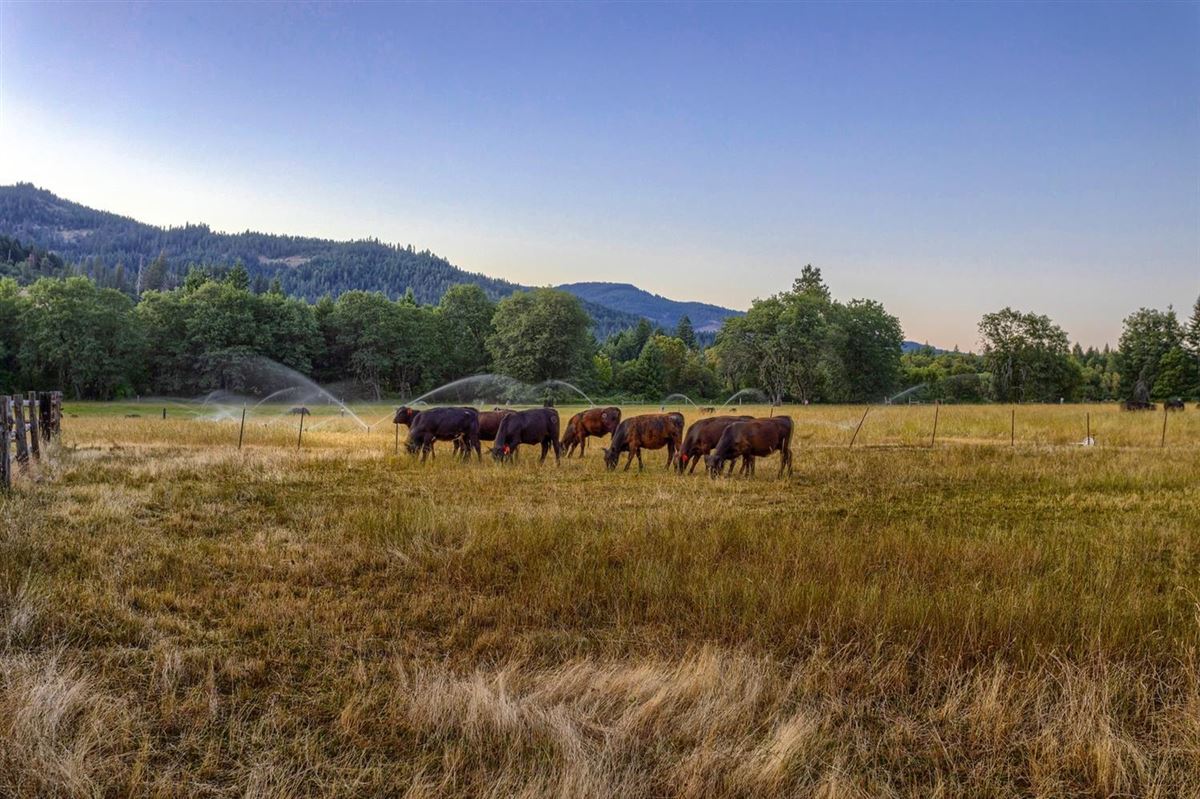 Luxury real estate 宽敞而现代的牧场和度假风格的生活