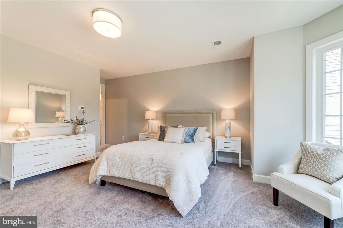 新社区标志性豪华住宅 mansions