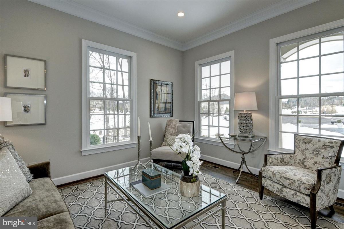 新社区标志性豪华住宅 luxury homes