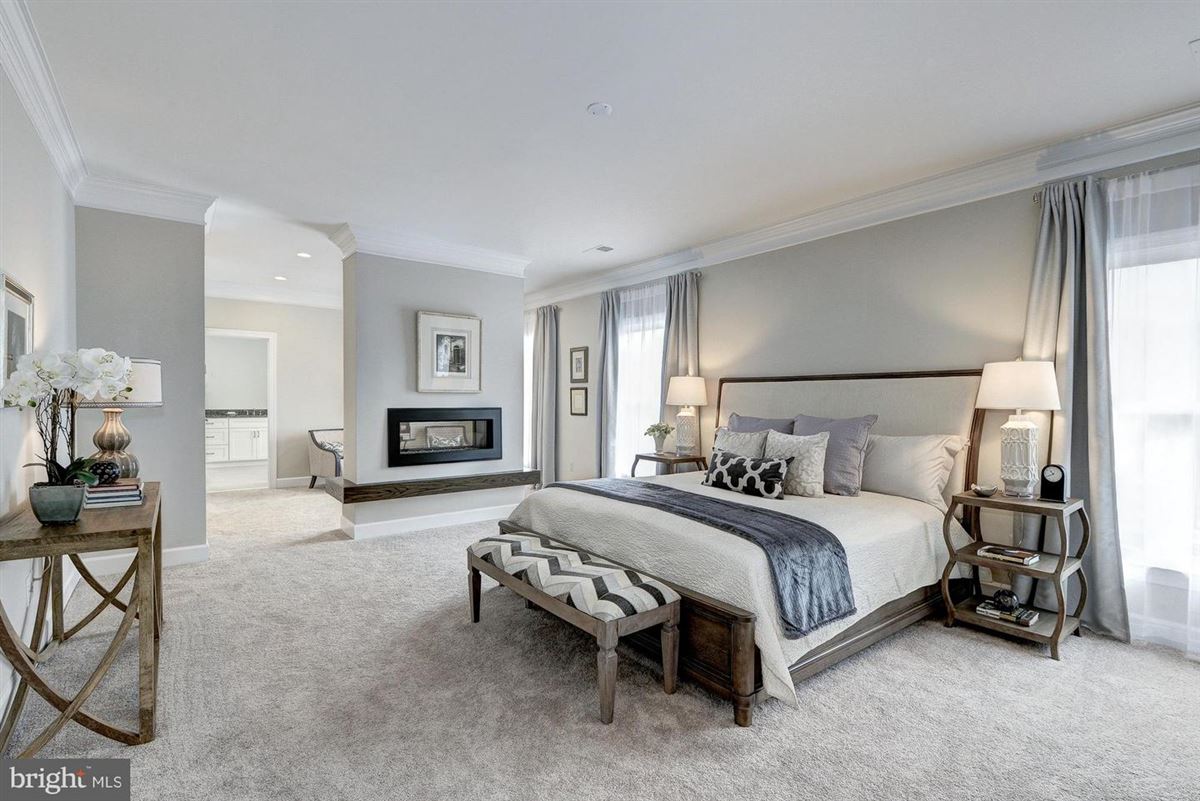 Mansions in 新社区标志性豪华住宅