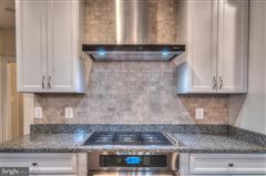 安静街道上的优质新家 luxury homes