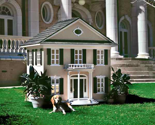 Luxury Dog Mansions